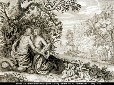 Drawing of Cen. XVII: Cadmus and Harmonia turn into serpents - / - thanks to Carlos Parada