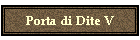 Porta di Dite V