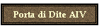Porta di Dite AIV