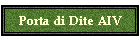 Porta di Dite AIV
